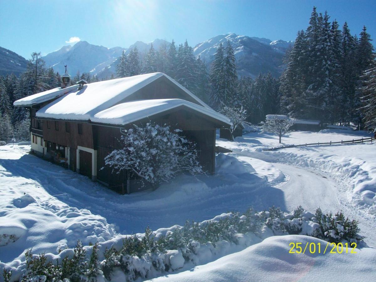 Villa Mitterhaidgut à Hollersbach im Pinzgau Extérieur photo