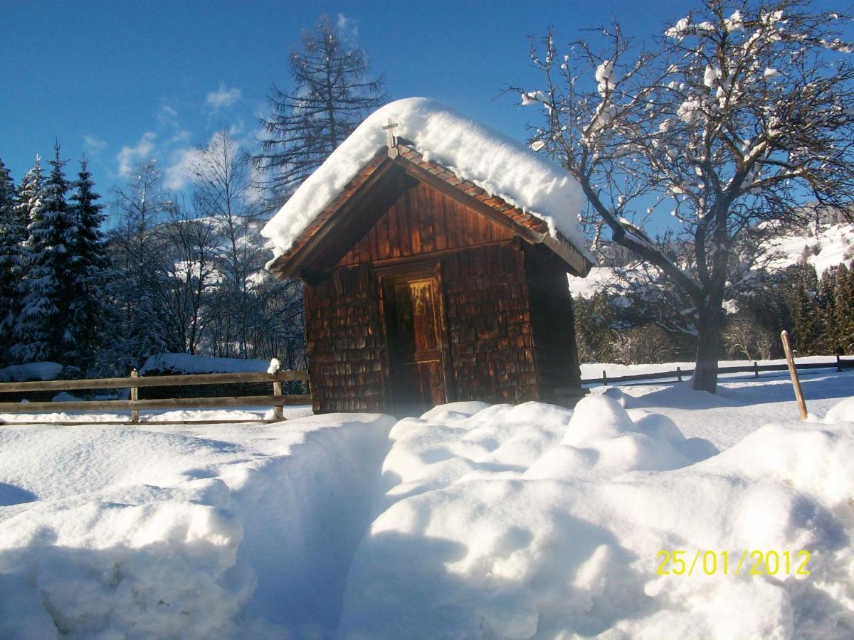 Villa Mitterhaidgut à Hollersbach im Pinzgau Extérieur photo