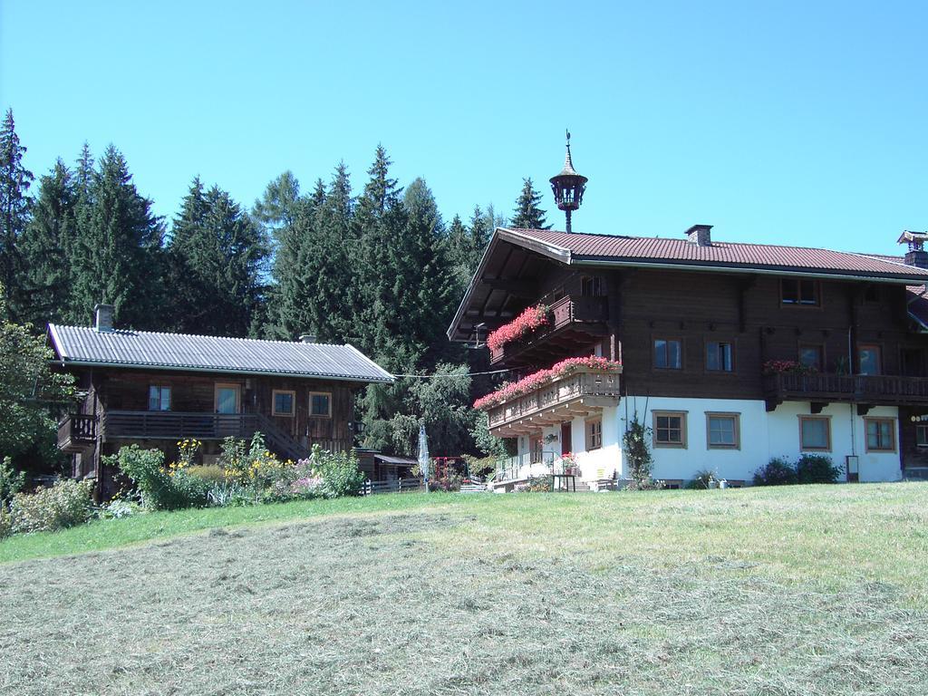 Villa Mitterhaidgut à Hollersbach im Pinzgau Extérieur photo